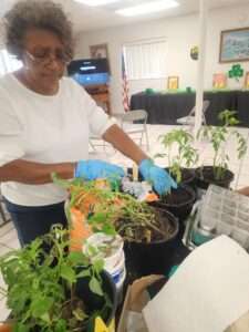 20230328_124631-225x300